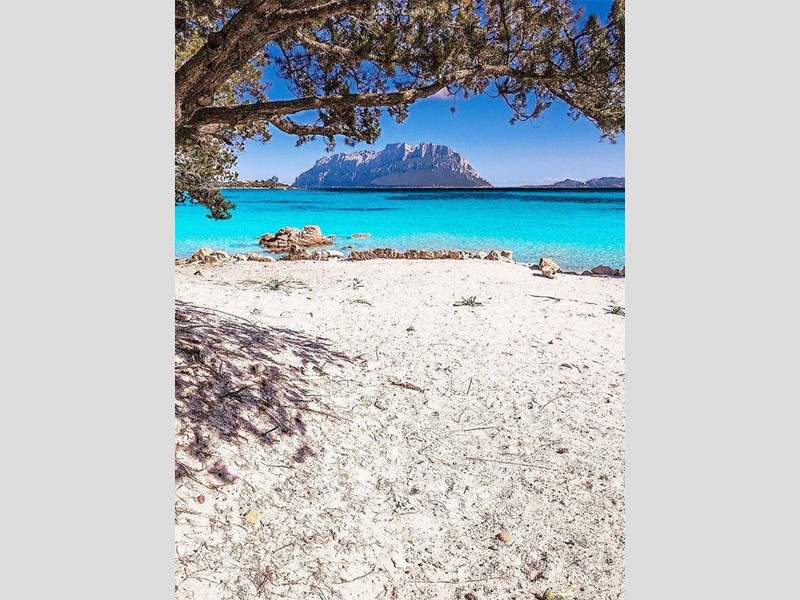 Quadrilocale in Vendita a Olbia, 324'000€, 75 m²