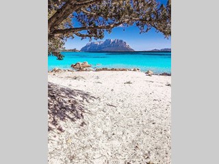 Quadrilocale in Vendita a Olbia, 324'000€, 75 m²