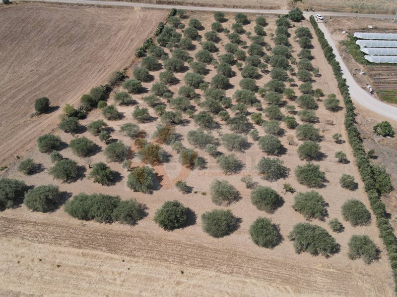 Terreno agricolo in Vendita a Monastir, 70'000€, 25575 m²