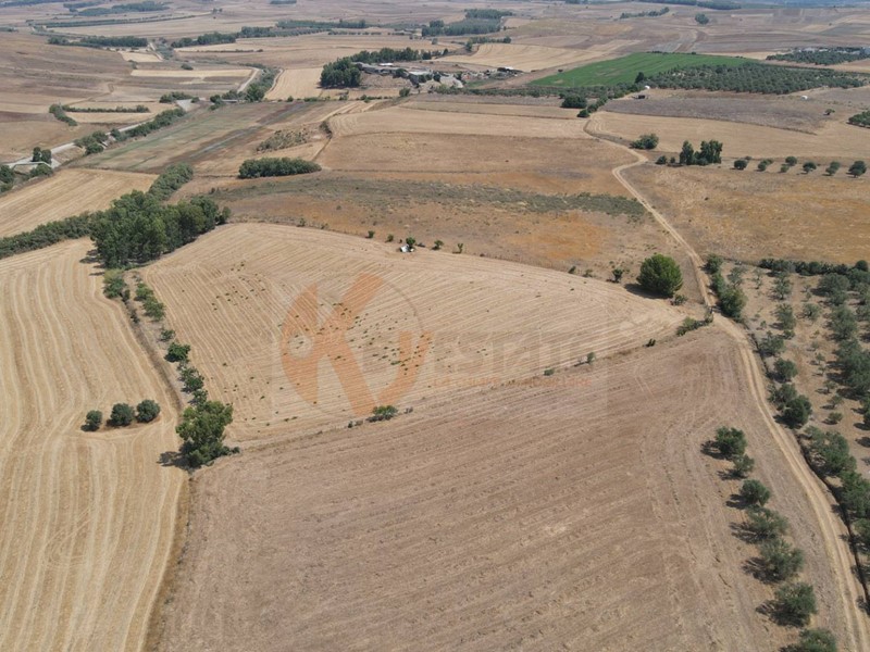 Terreno agricolo in Vendita a Monastir, 50'000€, 11340 m²
