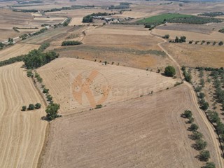 Terreno agricolo in Vendita a Monastir, 50'000€, 11340 m²