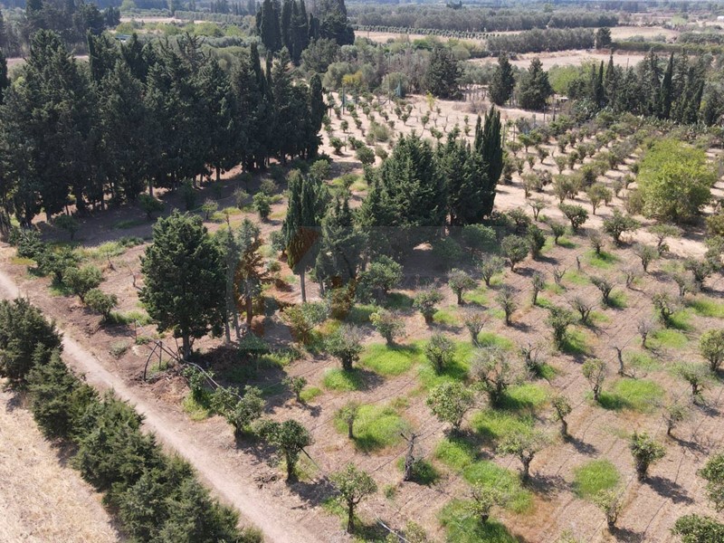 Terreno agricolo in Vendita a San Sperate, 22'000€, 7500 m²