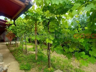 Villa in Vendita a Roveredo di Guà, 220'000€, 330 m²