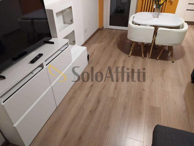 Bilocale in Affitto a Torino, zona Rebaudengo, 485€, 55 m², arredato