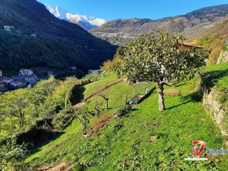 Terreno edificabile in Vendita a Cedegolo, 30'000€, 1500 m²
