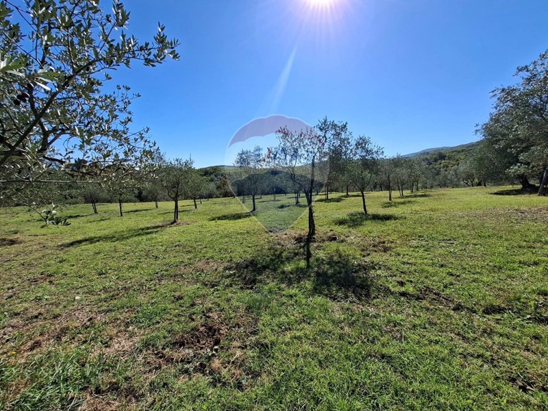Terreno agricolo in Vendita a Figline e Incisa Valdarno, 60'000€, 24320 m²