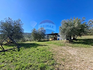 Terreno agricolo in Vendita a Figline e Incisa Valdarno, 73'000€, 36920 m²