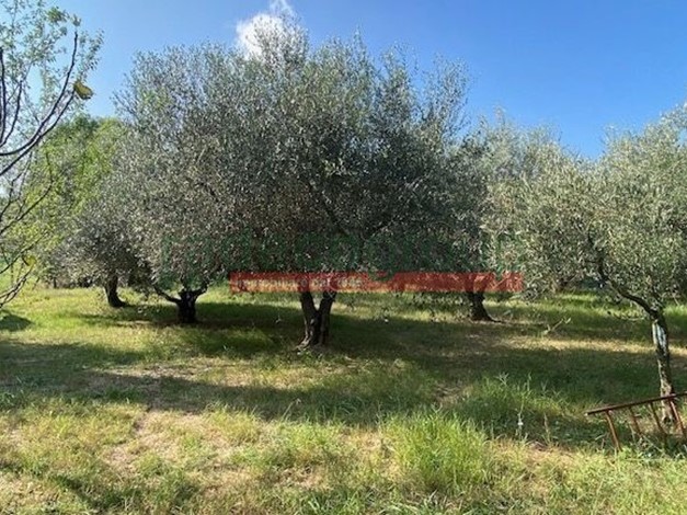 Casa Indipendente in Vendita a Livorno, zona salviano, 620'000&euro;, 140 m²