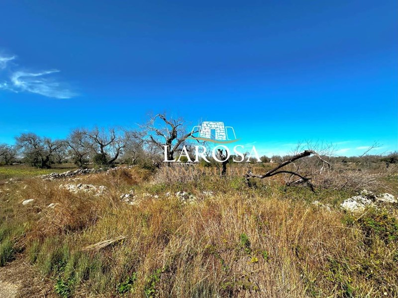 Terreno agricolo in Vendita a Melendugno, zona Torre Specchia, 25'000€, 