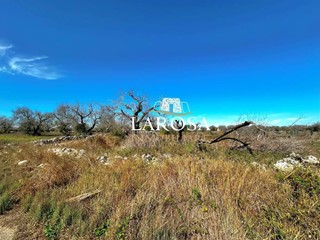 Terreno agricolo in Vendita a Melendugno, zona Torre Specchia, 25'000€, 