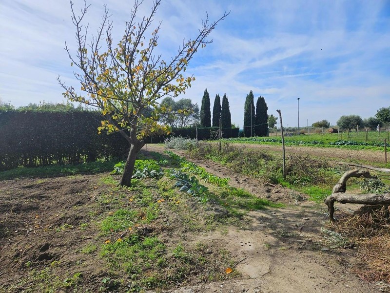 Casa Indipendente in Vendita a Cascina, zona Navacchio, 198'000€, 160 m², con Box