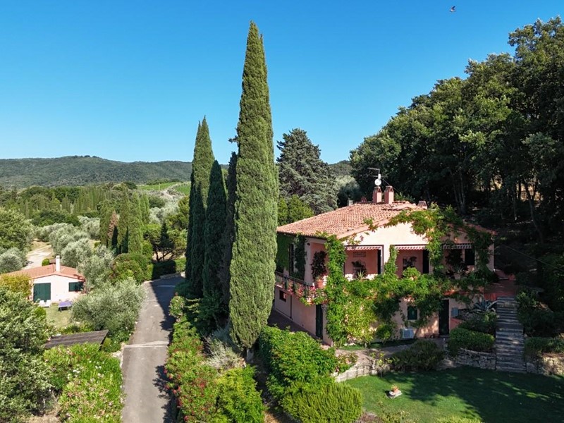 Villa in Vendita a Castagneto Carducci, zona Bolgheri, 2'500'000€, 260 m², arredato