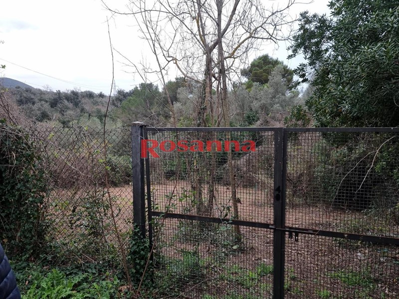 Terreno agricolo in Vendita a Livorno, 33'500&euro;, 2355 m²