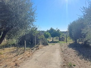 Terreno agricolo in Vendita a Albano Laziale, 65'000€, 1700 m²