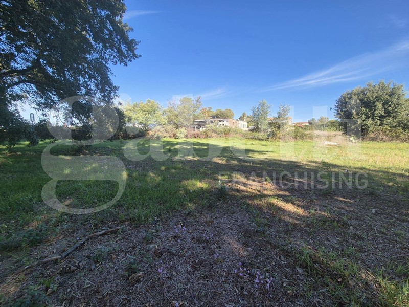 Terreno edificabile in Vendita a Anzio, 89'000€, 1749 m²