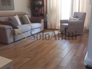Trilocale in Affitto a Torino, zona Borgo Vittoria, 480€, 65 m², arredato