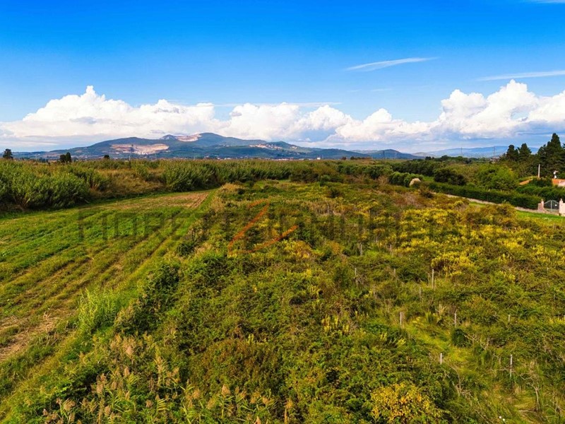 Terreno agricolo in Vendita a Piombino, zona Riotorto, 42'000&euro;, 37195 m²