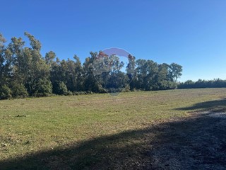 Terreno agricolo in Vendita a Minturno, 25'000€, 7404 m²