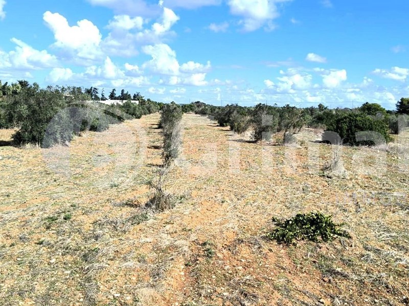 Terreno agricolo in Vendita a Gallipoli, 150'000&euro;, 34500 m²