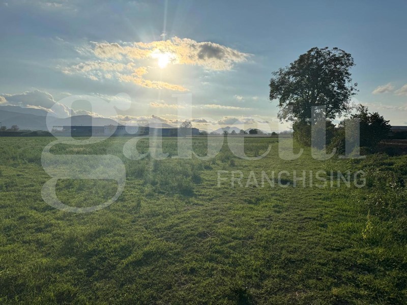 Terreno agricolo in Vendita a Alife, 240'000€, 12000 m²