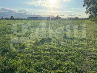 Terreno agricolo in Vendita a Alife, 750'000€, 35000 m²