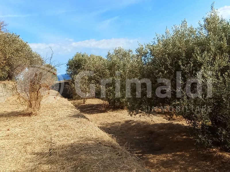 Terreno edificabile in Vendita a Nizza di Sicilia, 250'000€, 4468 m²