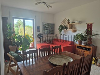 Trilocale in Affitto a Pescara, zona Gesuiti, 650€, 106 m²