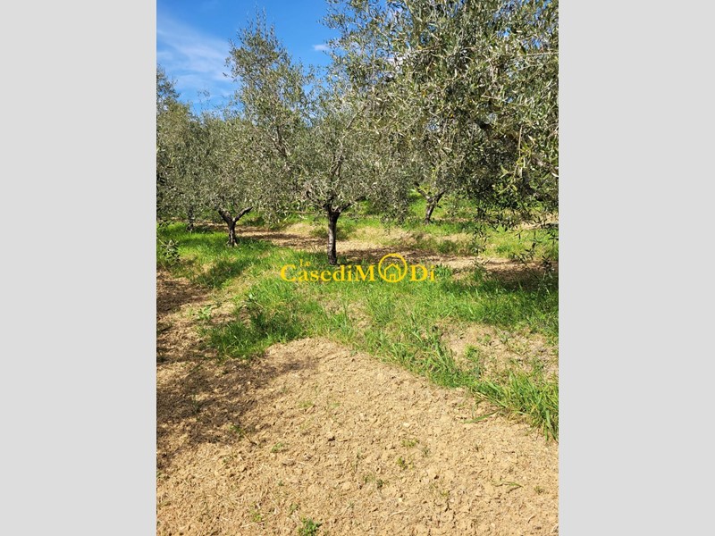Terreno agricolo in Vendita a Livorno, zona Limoncino, 59'000&euro;, 4200 m²