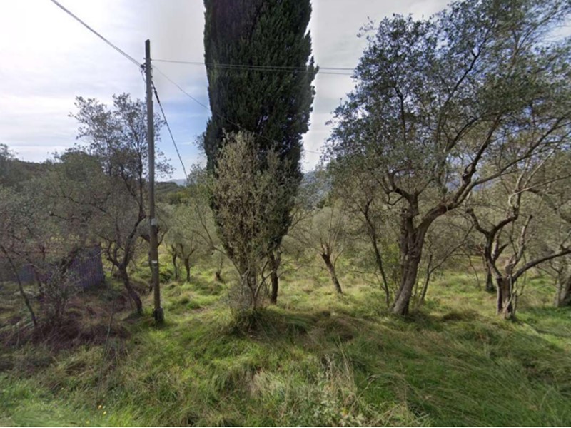 Terreno agricolo in Vendita a Sarzana, zona Sarzanello, 18'000€, 2190 m²