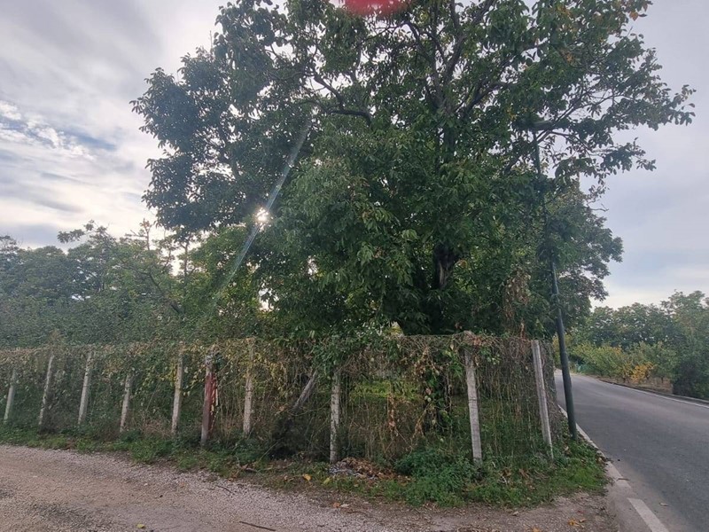 Monolocale in Vendita a Brusciano, 69'000€, 2400 m²