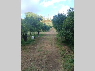 Terreno agricolo in Vendita a Piedimonte Etneo, 29'000€, 2400 m²