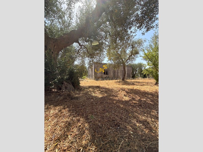 Rustico in Vendita a Monopoli, 80'000€, 90 m²