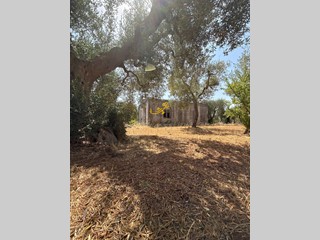 Rustico in Vendita a Monopoli, 80'000€, 90 m²