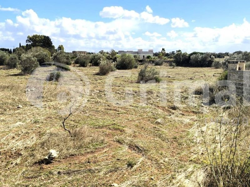 Terreno agricolo in Vendita a Gallipoli, 150'000&euro;, 34500 m²