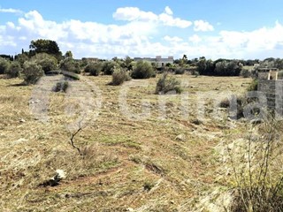 Terreno agricolo in Vendita a Gallipoli, 150'000&euro;, 34500 m²
