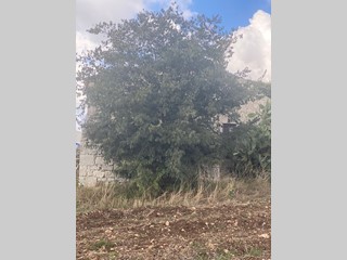 Quadrilocale in Vendita a Modica, zona SORDA PERIFERIA, 58'000€, 70 m²