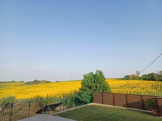 Casa Semi Indipendente in Vendita a Ancona, 625'000€, 400 m², con Box