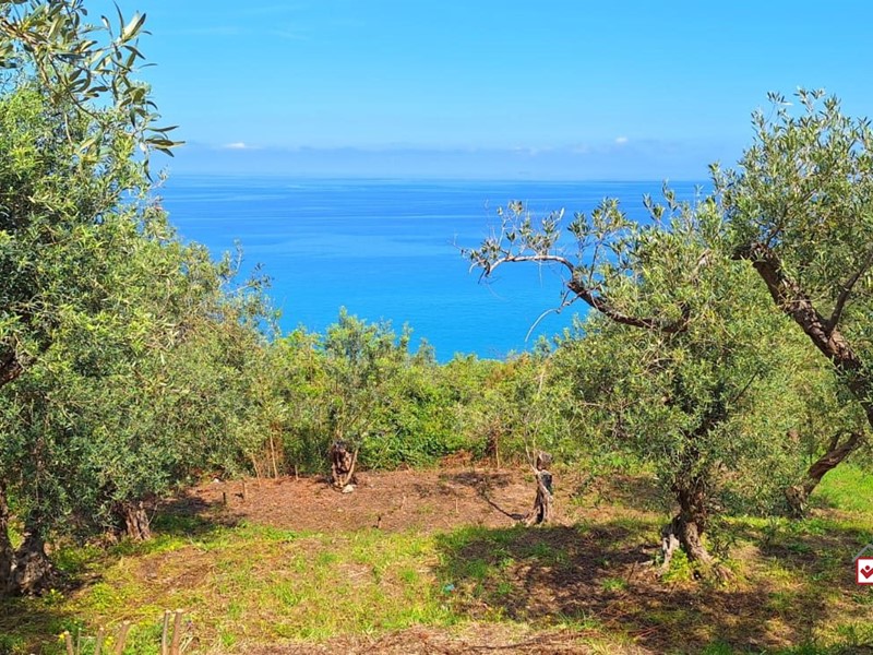 Terreno edificabile in Vendita a Messina, 9'500€, 2000 m²