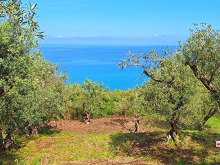 Terreno edificabile in Vendita a Messina, 9'500€, 2000 m²