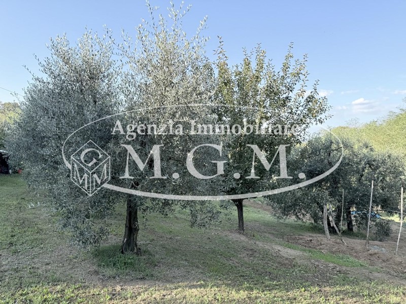 Terreno agricolo in Vendita a Santa Maria a Monte, zona Cerretti, 47'000€, 8570 m²