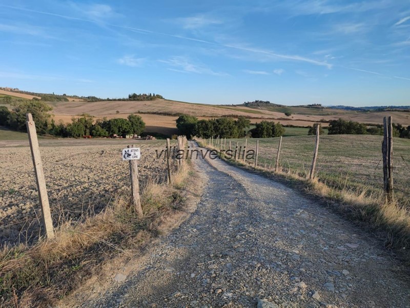 Terreno agricolo in Vendita a Castellina in Chianti, 700'000€, 200000 m²