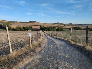 Terreno agricolo in Vendita a Castellina in Chianti, 700'000€, 200000 m²