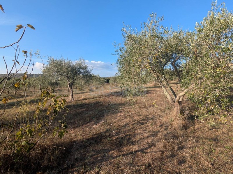 Terreno agricolo in Vendita a Noto, 88'000€, 25350 m²