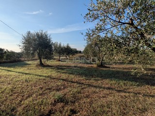 Terreno agricolo in Vendita a Noto, 88'000€, 25350 m²