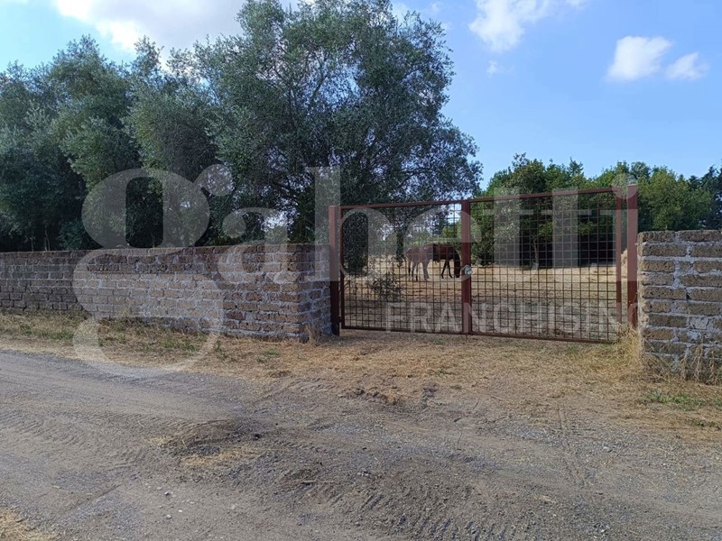 Terreno agricolo in Vendita a Nettuno, 55'000€, 5480 m²