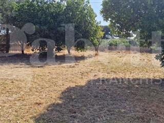 Terreno agricolo in Vendita a Nettuno, 55'000€, 5480 m²