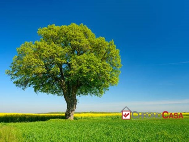 Terreno edificabile in Vendita a Messina, 48'000€, 3900 m²