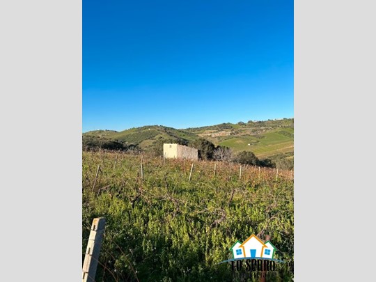 Terreno edificabile in Vendita a Alcamo, 45'000€, 20000 m²