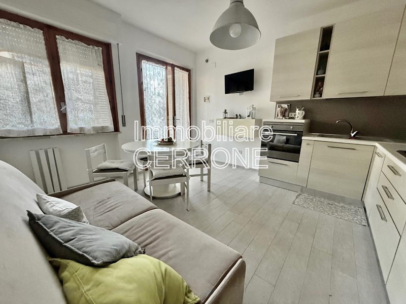Bilocale in Vendita a Cecina, zona Cecina Marina, 190'000€, 41 m², arredato