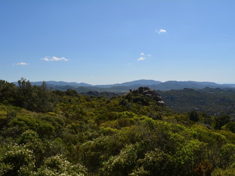 Casale in Vendita a Aggius, 350'000€, 65 m²